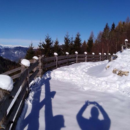 Baita Del Nonno Dei Pitoi Villa Bedollo Dış mekan fotoğraf