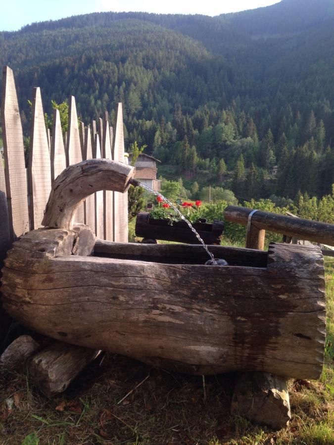 Baita Del Nonno Dei Pitoi Villa Bedollo Dış mekan fotoğraf