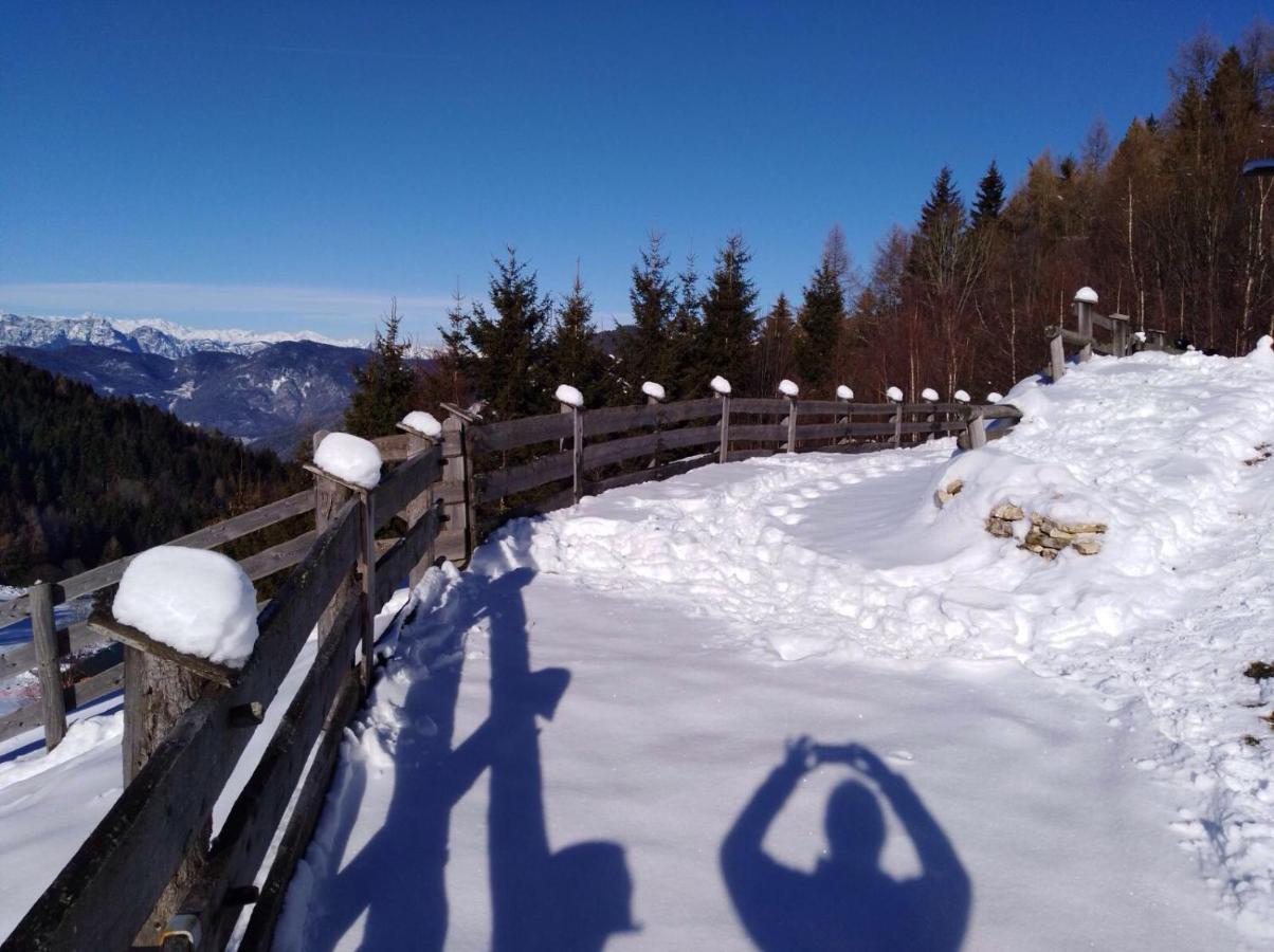 Baita Del Nonno Dei Pitoi Villa Bedollo Dış mekan fotoğraf