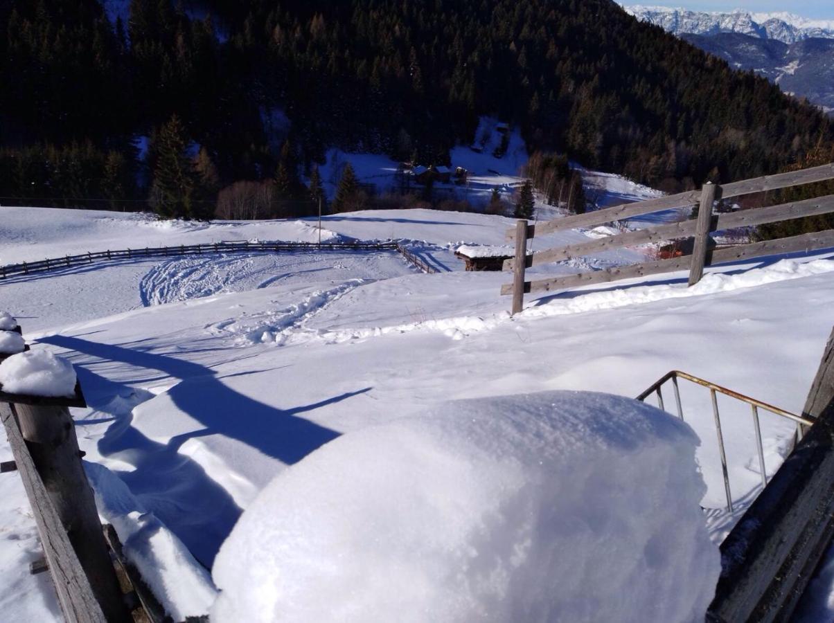 Baita Del Nonno Dei Pitoi Villa Bedollo Dış mekan fotoğraf