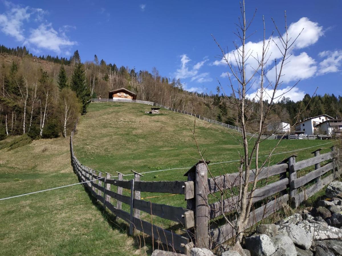 Baita Del Nonno Dei Pitoi Villa Bedollo Dış mekan fotoğraf