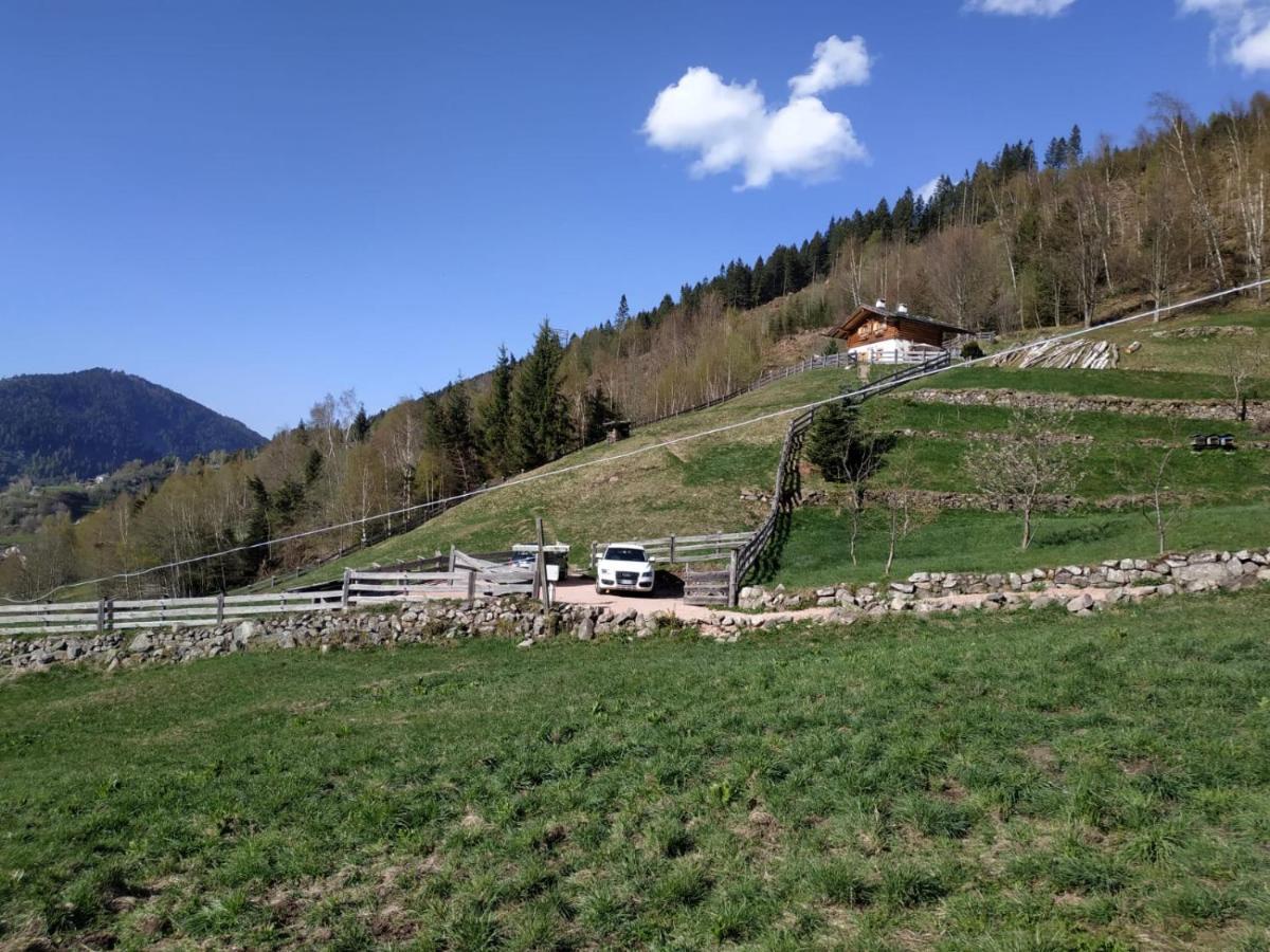 Baita Del Nonno Dei Pitoi Villa Bedollo Dış mekan fotoğraf