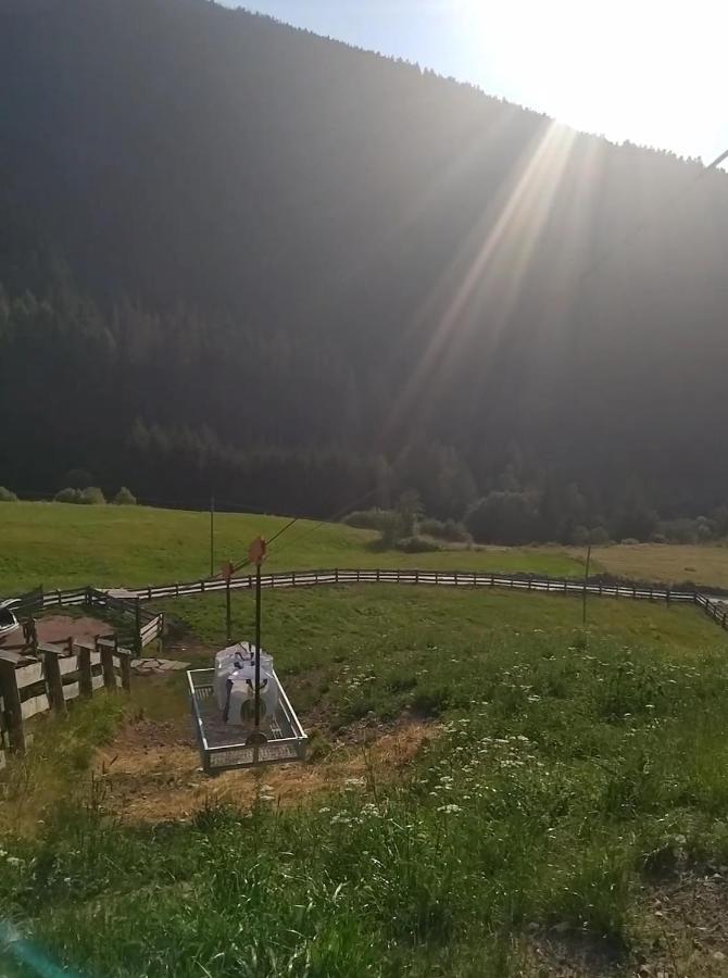 Baita Del Nonno Dei Pitoi Villa Bedollo Dış mekan fotoğraf